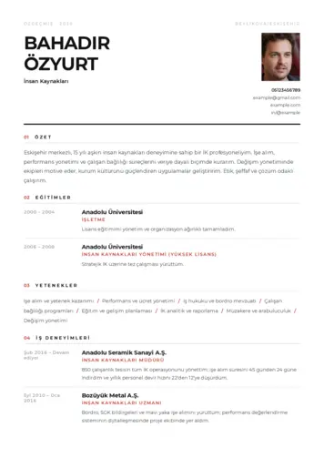 İnsan Kaynakları Cv Örnekleri cv indir